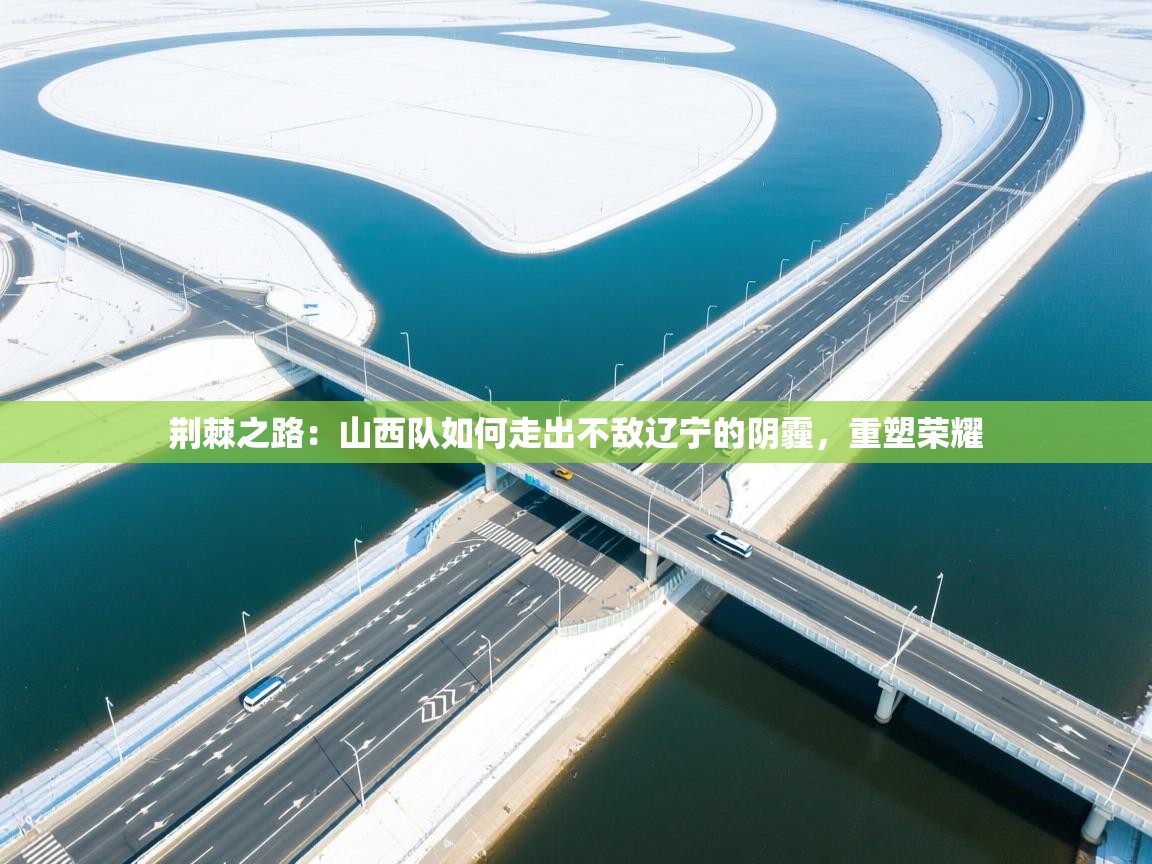 荆棘之路：山西队如何走出不敌辽宁的阴霾，重塑荣耀  第2张