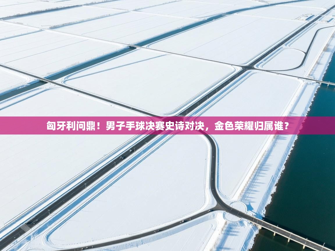 匈牙利问鼎！男子手球决赛史诗对决，金色荣耀归属谁？  第1张