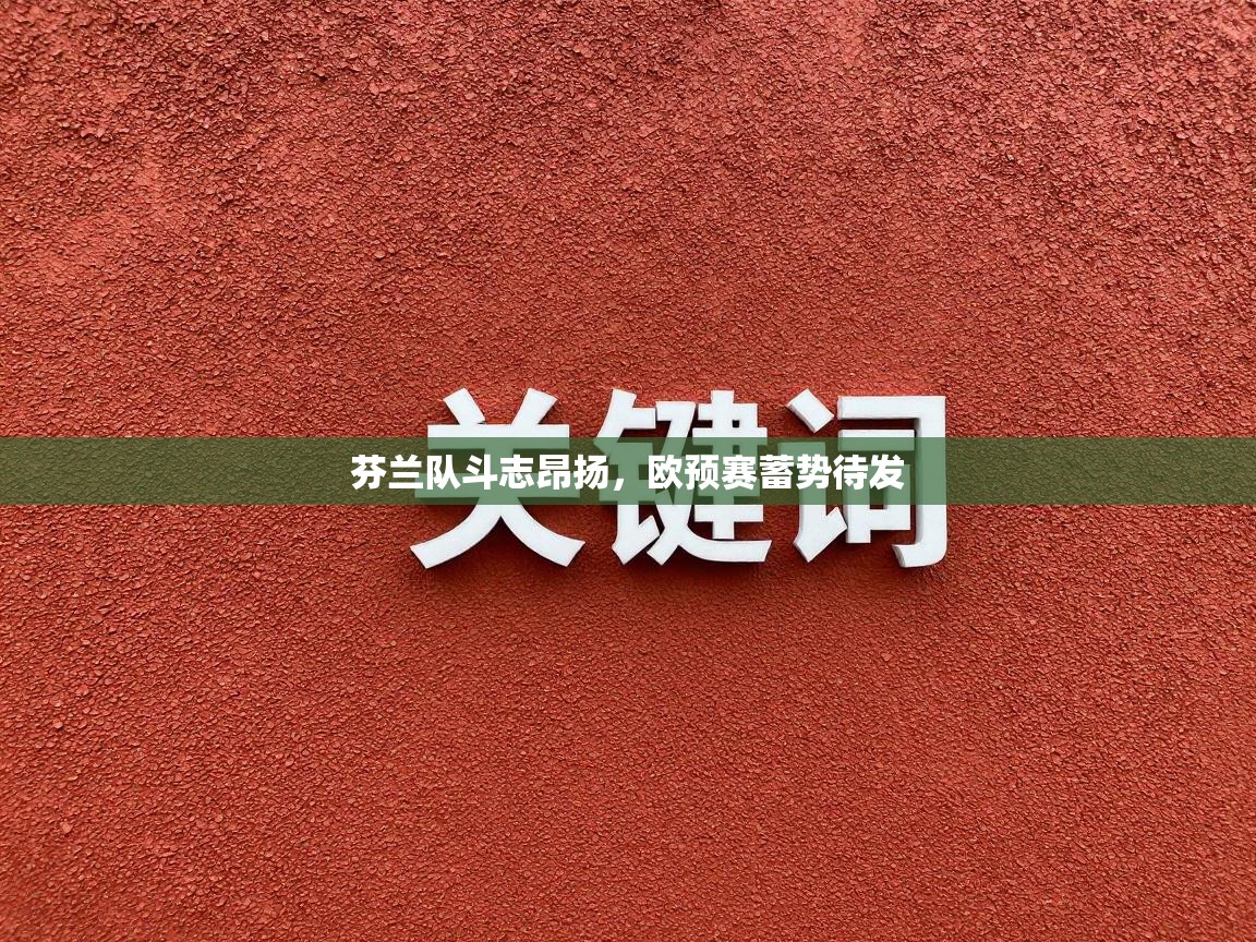 芬兰队斗志昂扬，欧预赛蓄势待发  第1张