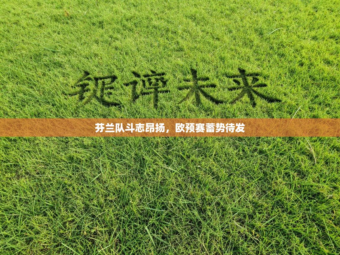 芬兰队斗志昂扬，欧预赛蓄势待发  第2张